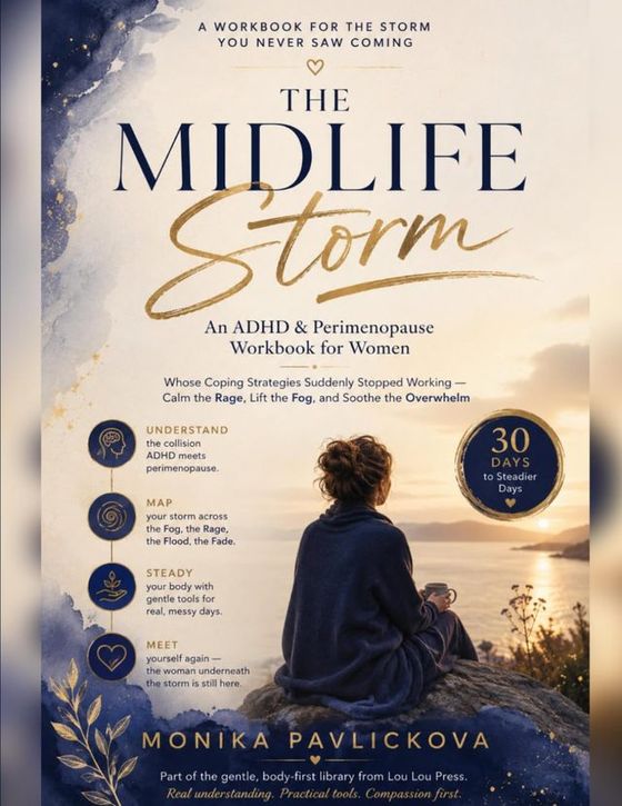 The Midlife Storm — cover